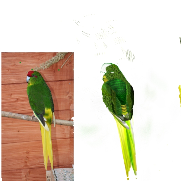 Creation of Jungle Life: Step 14